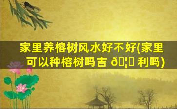家里养榕树风水好不好(家里可以种榕树吗吉 🦁 利吗)